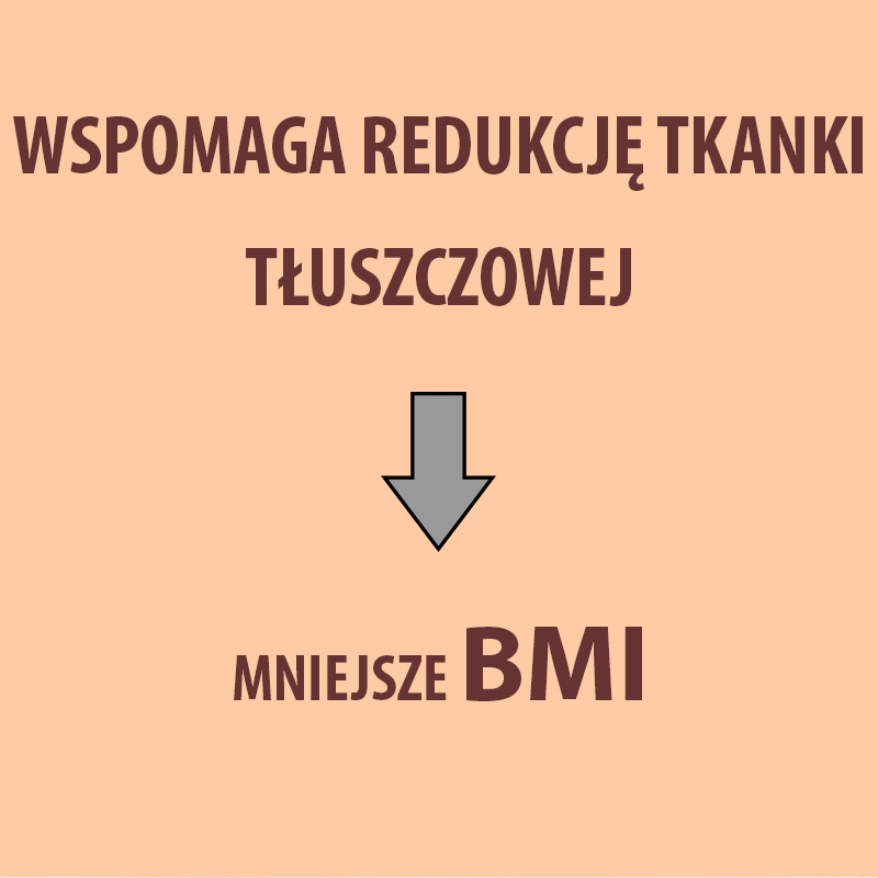 Koncentrat cynamowo algowy wspomaga redukcję tkanki tłuszczowej