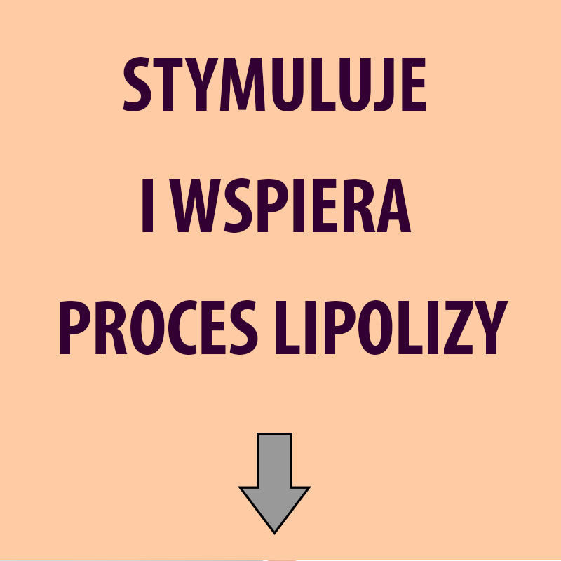 Koncentrat cynamowo algowy stymuluje proces lipolizy